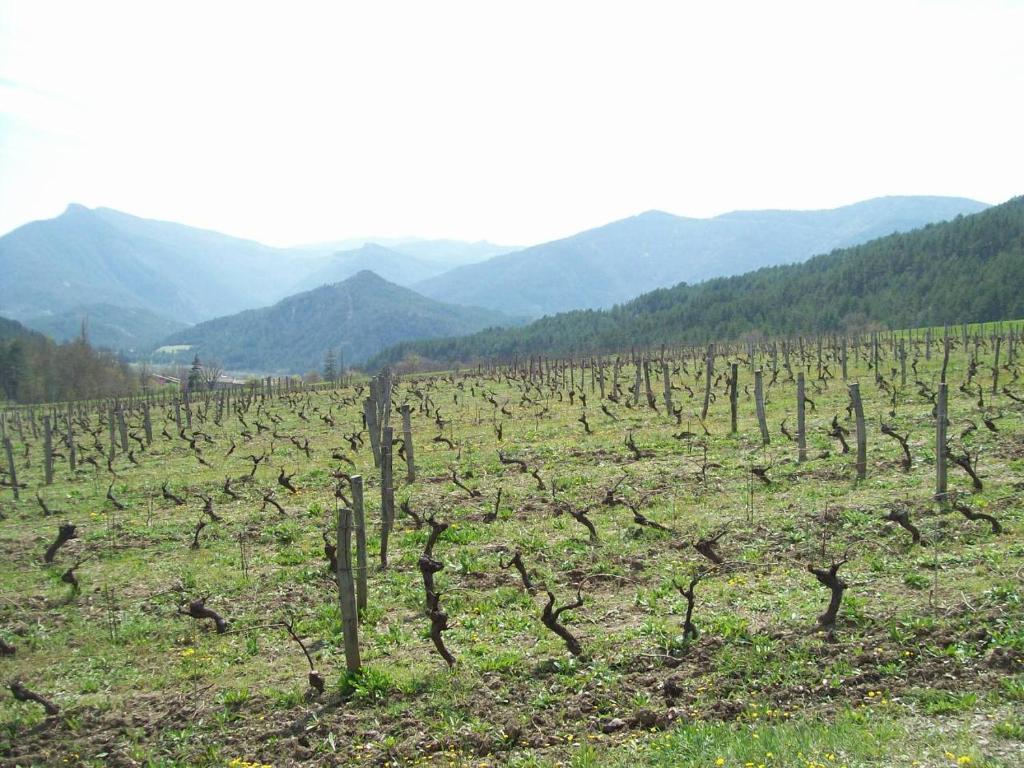 Le Vin De L'Ete Bed and Breakfast Ponet-et-Saint-Auban Εξωτερικό φωτογραφία